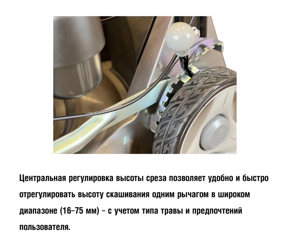 Слайд3_1.jpg
